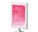 Pink Watercolor Wedding Framed Party Signs-Set of 1-Andaz Press-Bathroom Basket-