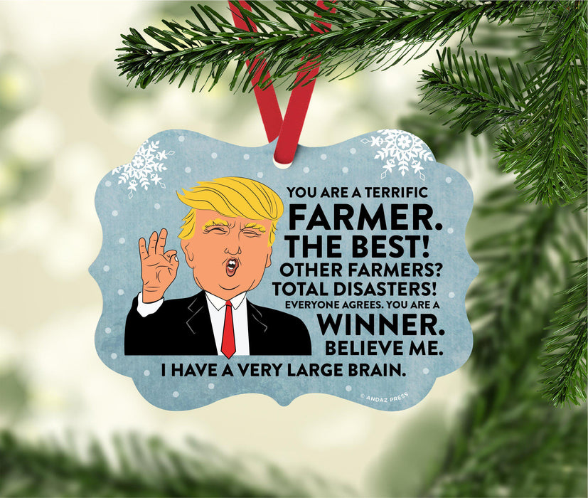 President Donald Trump Fancy Frame Christmas Ornament, Funny Metal Holiday Present Ideas Design 2-Set of 1-Andaz Press-Farmer-