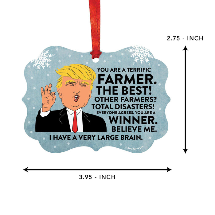 President Donald Trump Fancy Frame Christmas Ornament, Funny Metal Holiday Present Ideas Design 2-Set of 1-Andaz Press-Farmer-