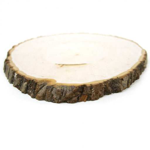 Reversible Wood Slab Tree Slices-Set of 1-Koyal Wholesale-