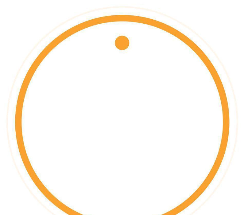 Solid Color Circle Blank Gift Tags-Set of 24-Andaz Press-Orange-