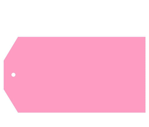 Solid Color Classic Blank Gift Tags-Set of 12-Andaz Press-Bubblegum Pink-