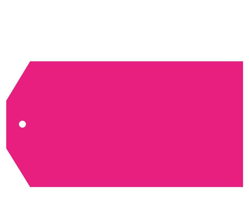 Solid Color Classic Blank Gift Tags-Set of 12-Andaz Press-Fuchsia-