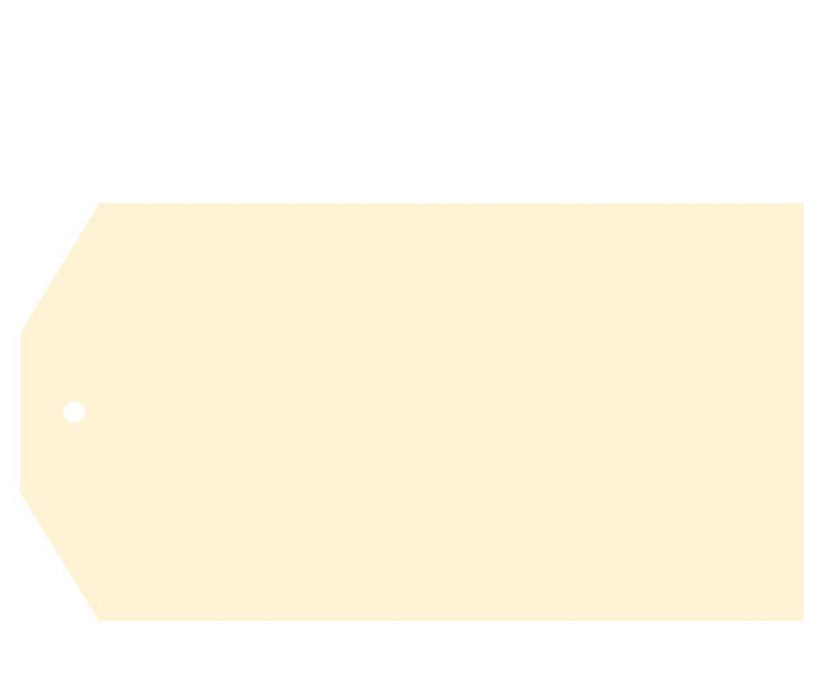 Solid Color Classic Blank Gift Tags-Set of 12-Andaz Press-Ivory-