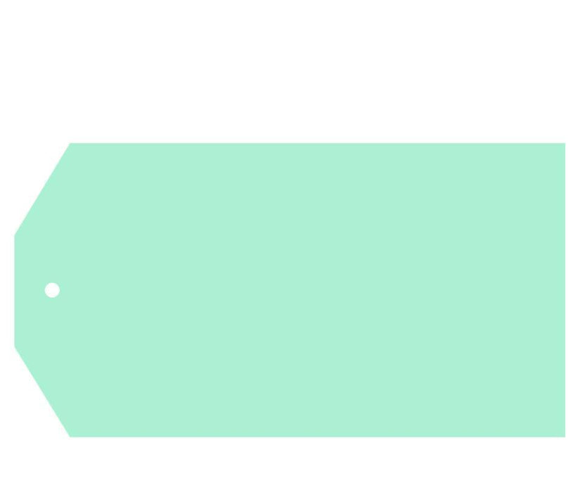 Solid Color Classic Blank Gift Tags-Set of 12-Andaz Press-Mint Green-
