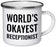 Stainless Steel Campfire Coffee Mug Gag Gift, World's Okayest Receptionist-Set of 1-Andaz Press-