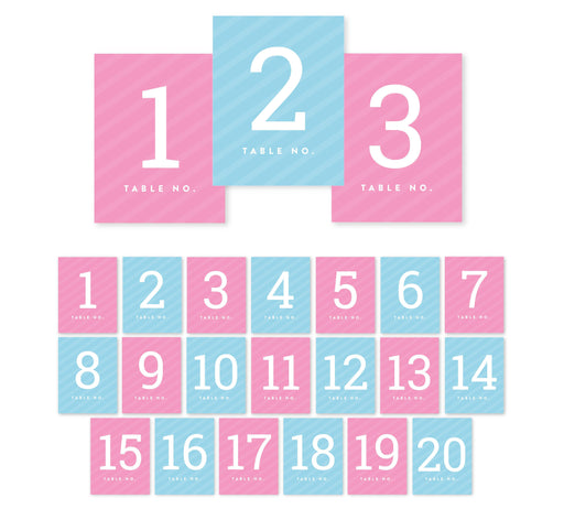 Team Pink/Blue Gender Reveal Baby Shower Party Table Numbers-Set of 20-Andaz Press-1-20-