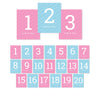 Team Pink/Blue Gender Reveal Baby Shower Party Table Numbers-Set of 20-Andaz Press-1-20-