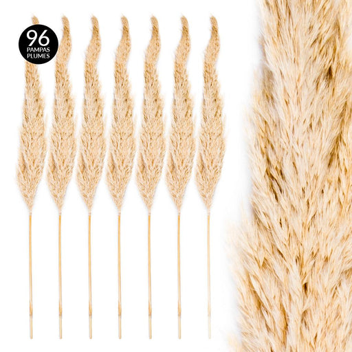 Wholesale Pampas Grass Decor Plumes, Set of 96-Set of 96-Koyal Wholesale-Natural-28-32"-