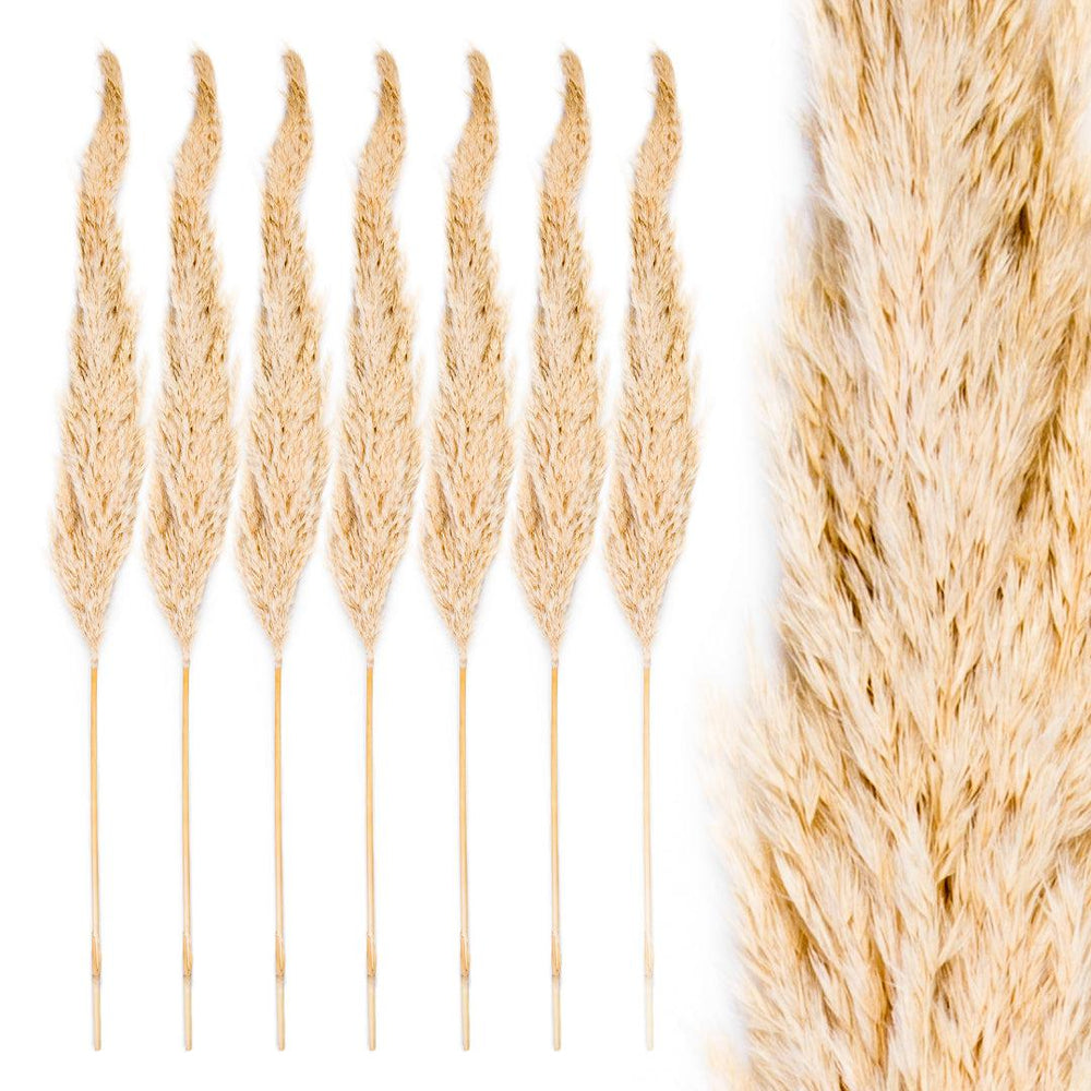Wholesale Pampas Grass Decor Plumes, Set of 96-Set of 96-Koyal Wholesale-Natural-28-32"-