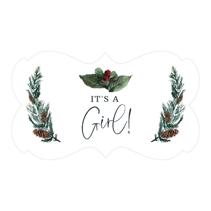 Winter Snowy Woodland Forest Watercolor Baby Shower Party, Fancy Frame Label Stickers, Winter Baby Shower Favor Labels-Set of 36-Andaz Press-It's a Girl-
