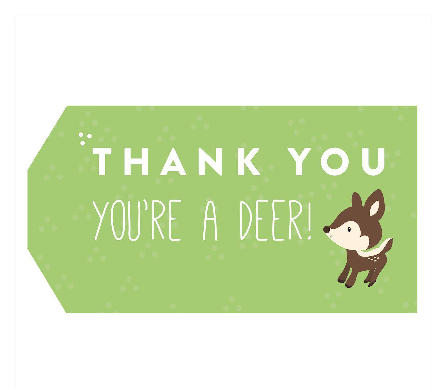 Woodland Friends Birthday Thank You You're a Deer Classic Gift Tags-Set of 12-Andaz Press-