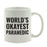World's Okayest Coffee Mug Gag Gift-Set of 1-Andaz Press-Babysitter-